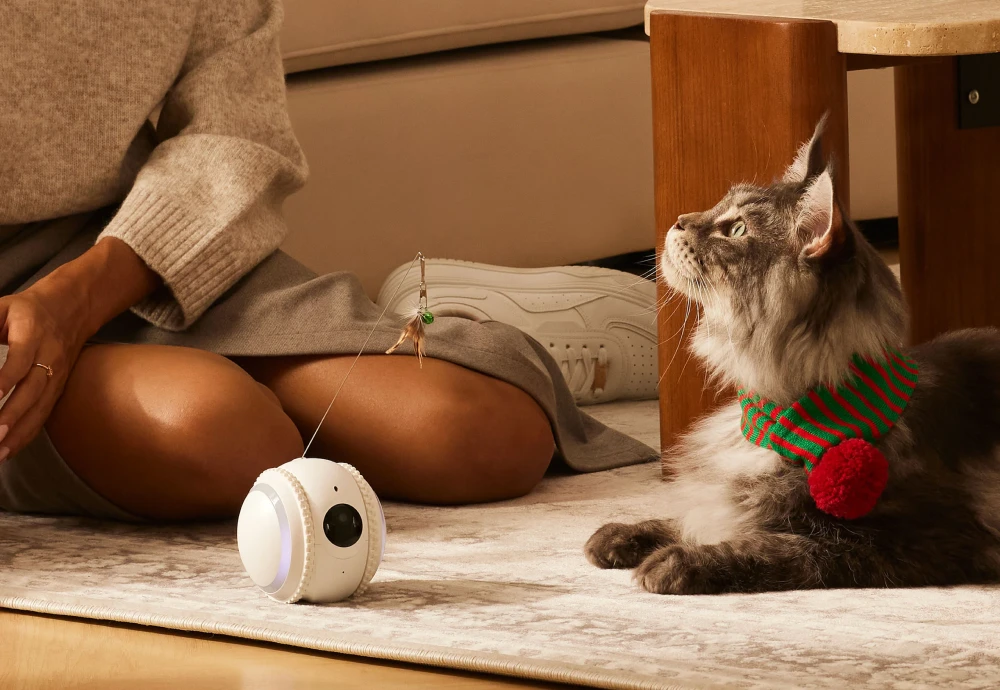 best camera for pets at home