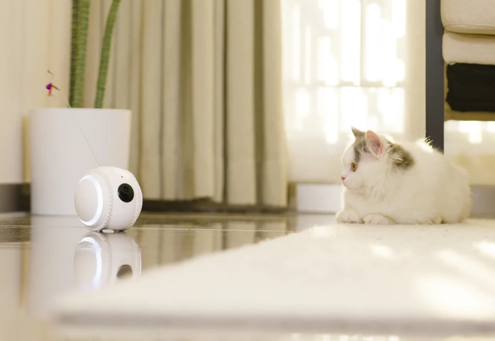 pet camera robot