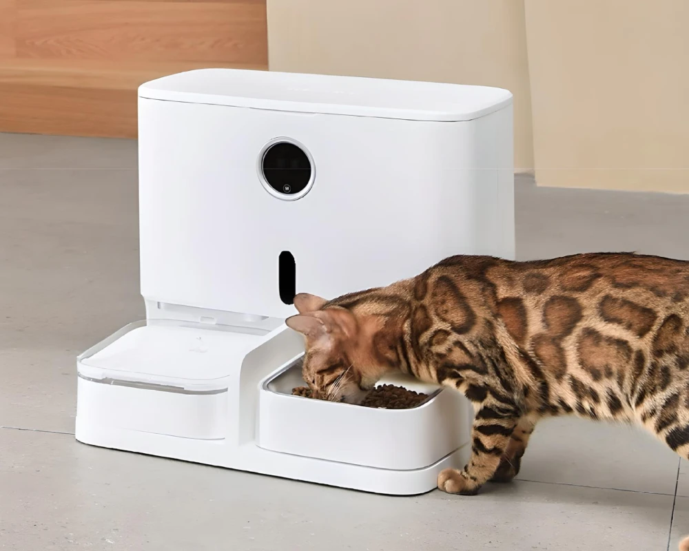 automatic small pet feeder